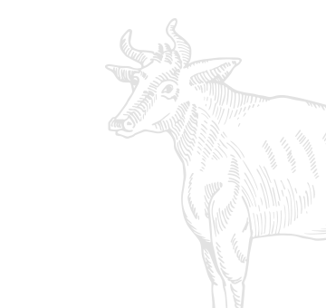 category2-gray.png